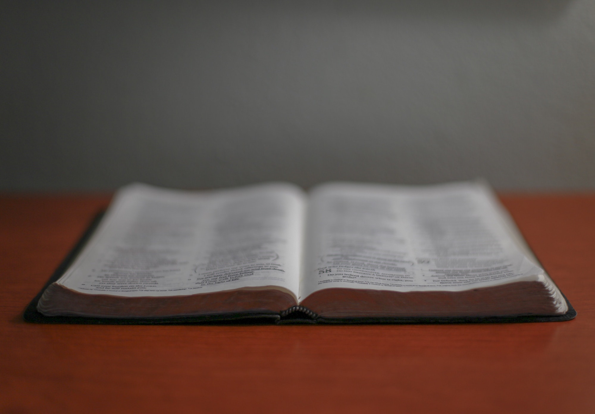 The Bible