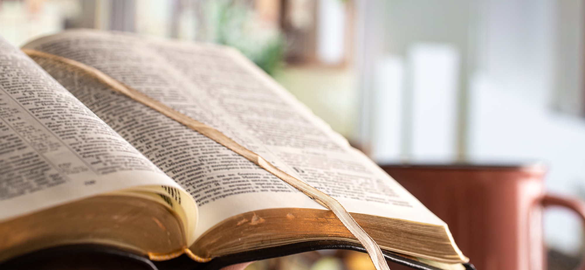 Book Bible close-up, on a beautiful terrace background. Morning time.